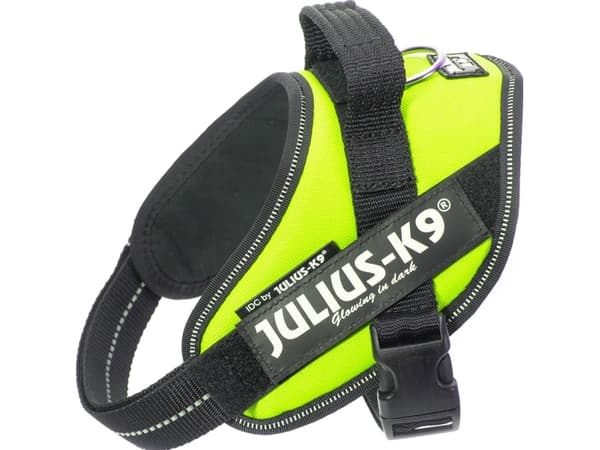 Julius-K9 K9 IDC valjaat, koko: Mini, neonvihreä 49-67 cm