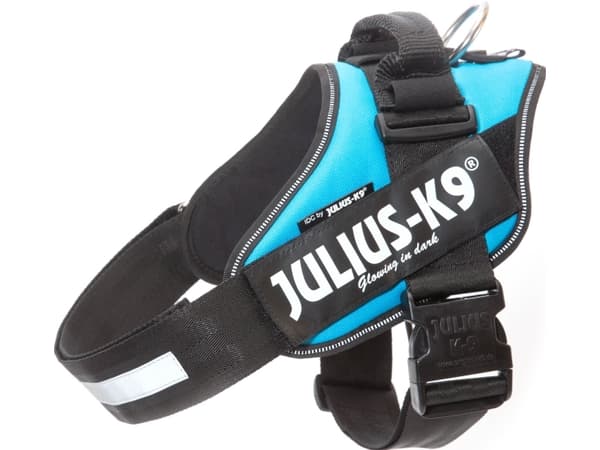 Julius-K9 K9 IDC sele, str.: 1, Aquamarine 66-85 cm