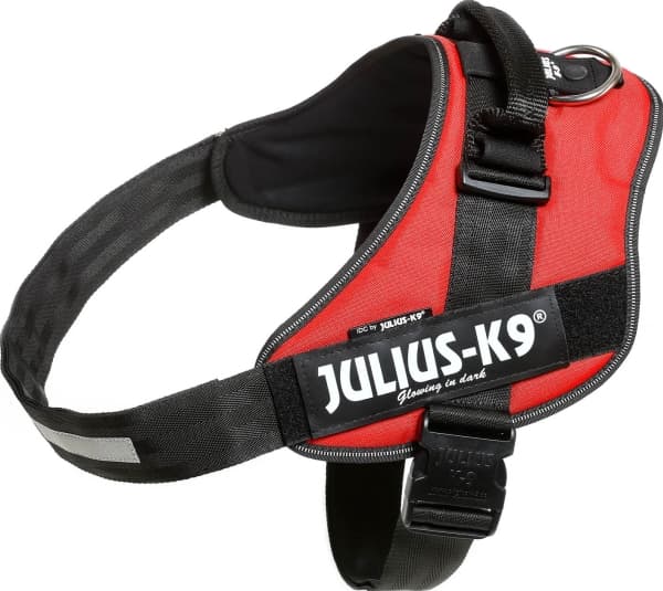 Julius-K9 K9 IDC sele, str.: 4, rød 96-138 cm