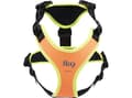 Miniatyrbild 2 av 4: Julius-K9 K9 Mantrailing/Outd. sele, Str.: XS/Uv Orange m. neon kant