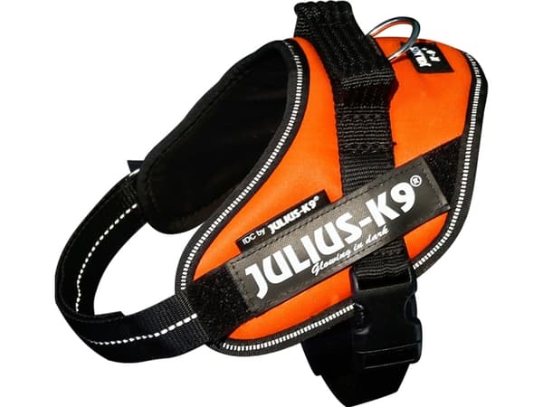 Julius-K9 K9 IDC sele, str.: Mini, UV Orange, 49-67 cm