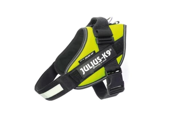 Julius-K9 K9 IDC sele, str.: 1, neongrøn 63-85 cm