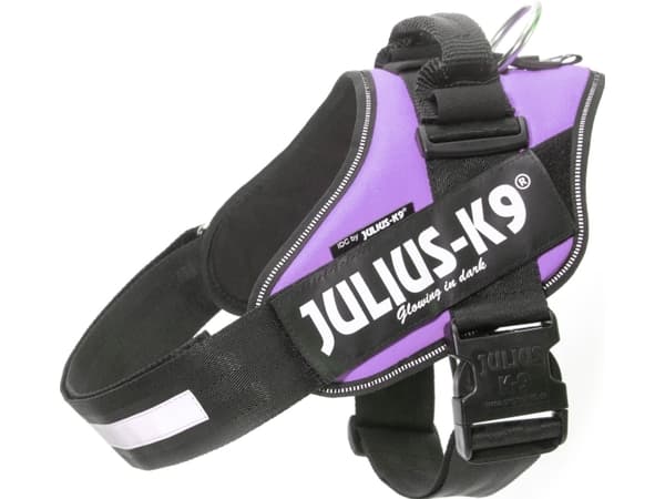 Julius-K9 K9 IDC-sele, str.: 2, lilla 71-96 cm