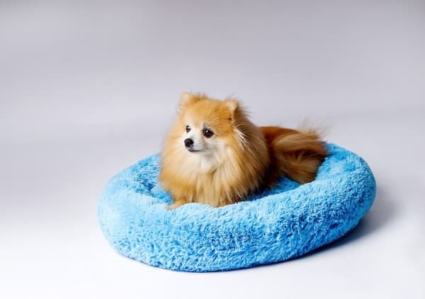 GO GIFT Shaggy blue XL - lemmikkieläinten sänky - 80 x 83 x 10 cm
