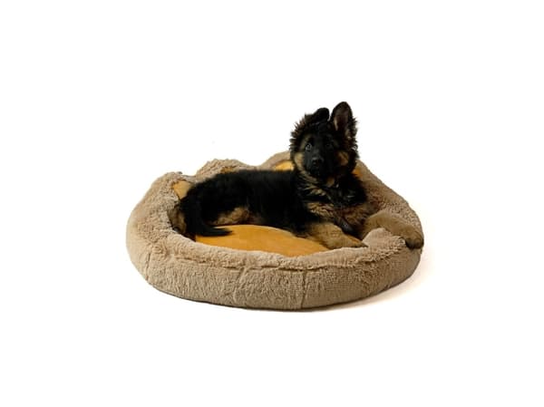 GO GIFT Hunde- og katteseng XL - camel - 75x75 cm