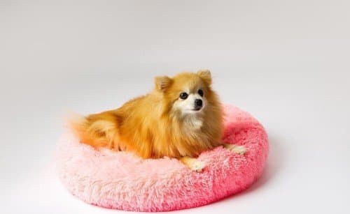 GO GIFT Shaggy pink XL - lemmikkieläinten sänky - 80 x 83 x 10 cm