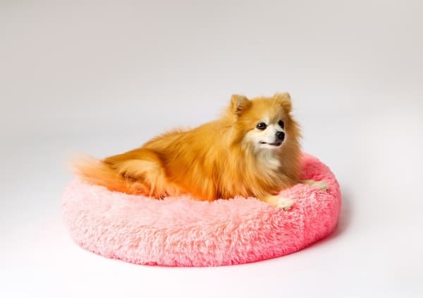 GO GIFT Shaggy pink XL - lemmikkieläinten sänky - 80 x 83 x 10 cm