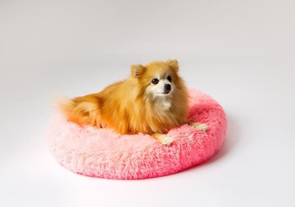 GO GIFT Shaggy pink XL - lemmikkieläinten sänky - 80 x 83 x 10 cm