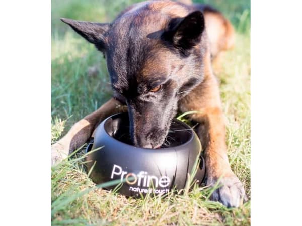 Profine Dog Bowl (1L)