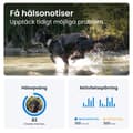 Pikkukuva 5 / 5: Tractive Tractive GPS DOG XL - Adventure Edition - Tilaus sovelluksessa