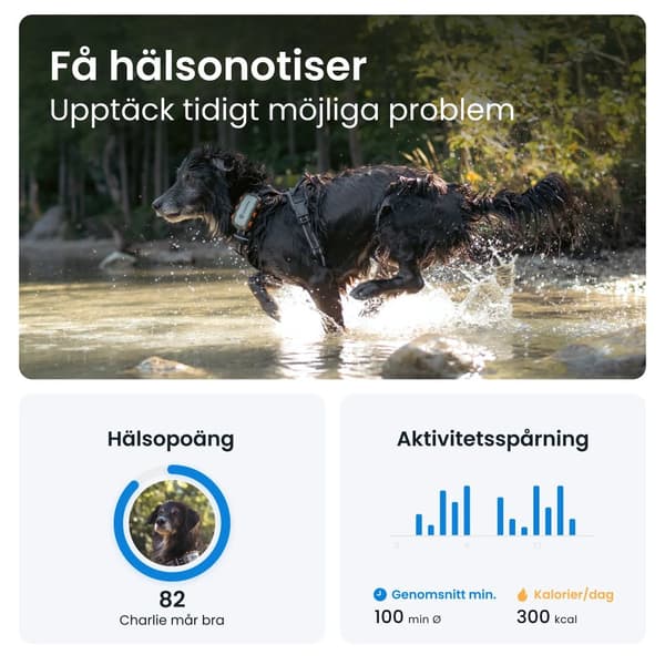 Tractive Tractive GPS DOG XL - Adventure Edition - Tilaus sovelluksessa