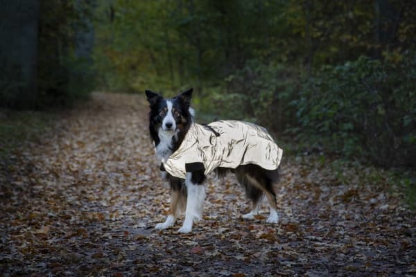 Dogman Ralf Light Reflective Coat 25cm