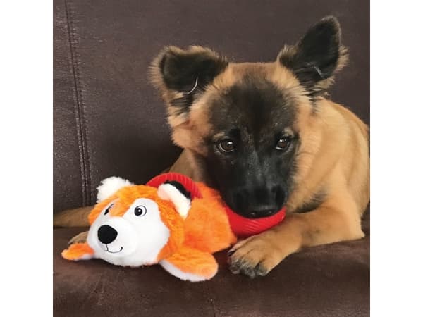 Kong Leksak Cozie Pocketz Fox 34cm