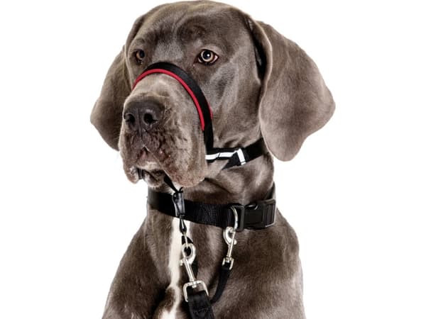 Halti OptiFit snudesele, sort, Small, Hals: 24-40 cm