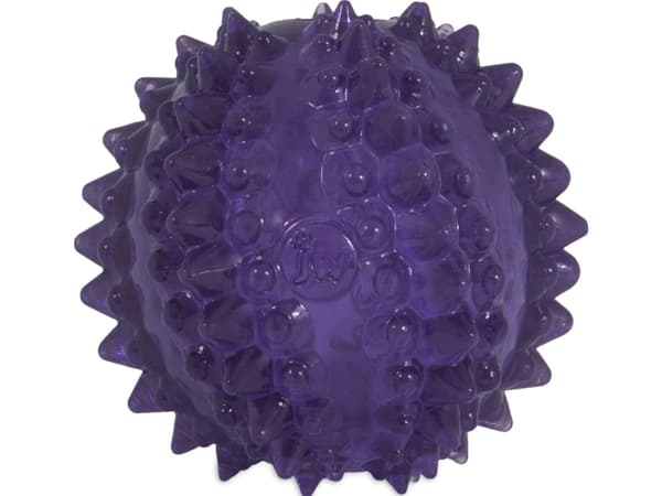 JW Bristly Cactus Ball