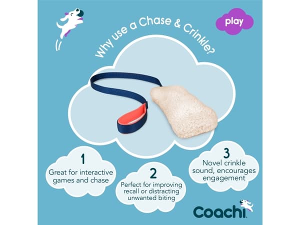 Coachi Chase & Crinkle Navy, Coral & Faux lammeull