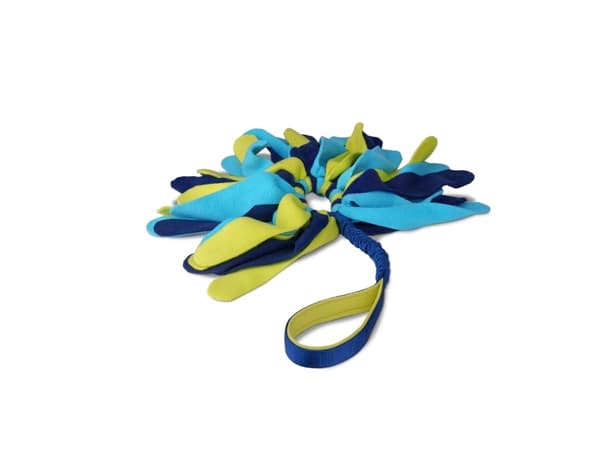 Coachi Tuggi Spider Navy, Lime & Light Blue