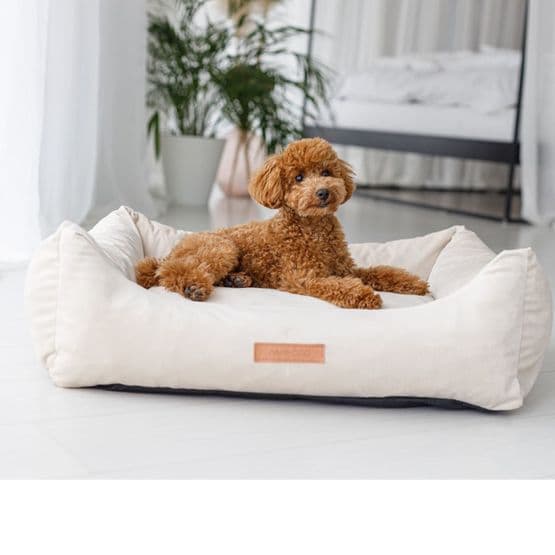 Hundsäng - Alex - Medium - Beige