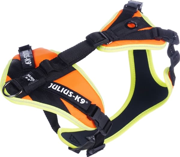 Julius-K9 K9 Mantrailing/Outd. sele, Str.: S/Uv Orange m. neon kant