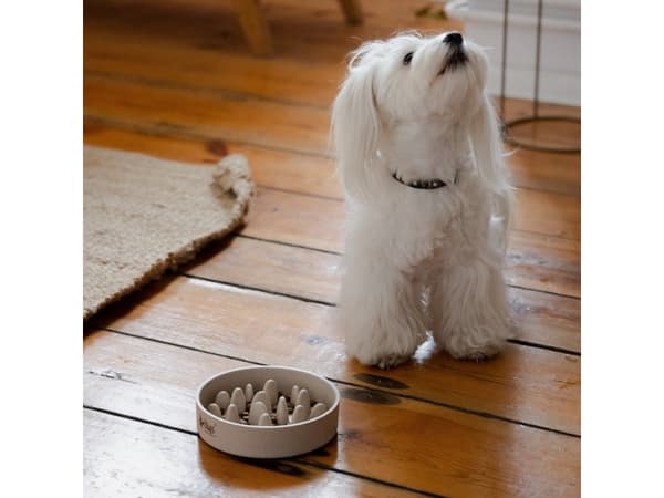 DINGO Bamboo skål - hundskål - 410 ml