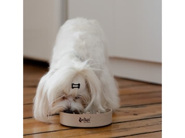 DINGO Bamboo skål - hundskål - 410 ml