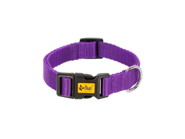 DINGO Energy lila - hundhalsband - 24-39 cm