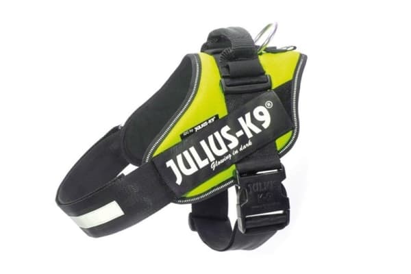 Julius-K9 K9 IDC sele, str.: 3, neongrøn 82-115 cm