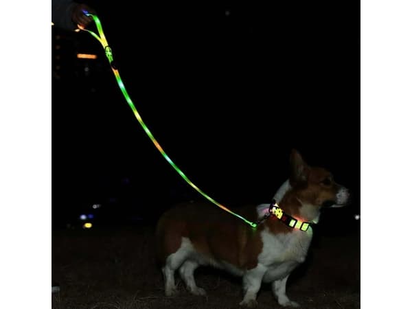 SIGNAL LEASH - Koppel med färgad LED-belysning för medelstora och stora hundar, mörkgrön