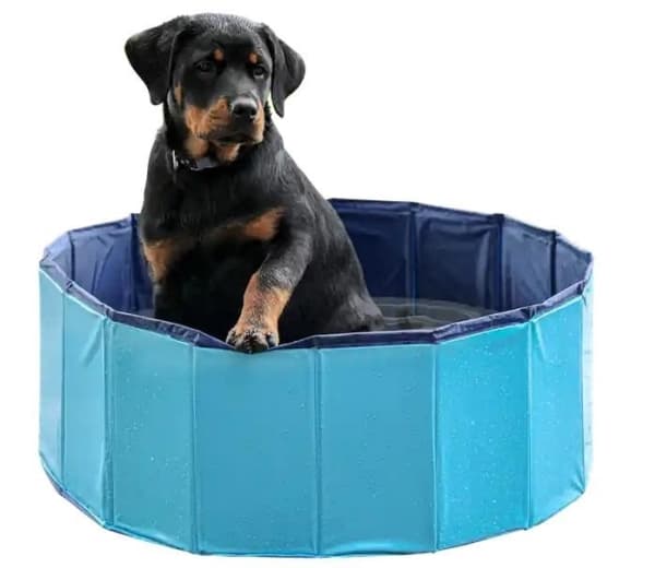 PETITTO Hopfällbar hundpool - 160x30cm