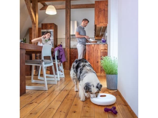 Tesla TSL-PC-SPIN Smart Pet Feeder Spin
