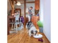 Miniatyrbilde 3 av 5: Tesla TSL-PC-SPIN Smart Pet Feeder Spin