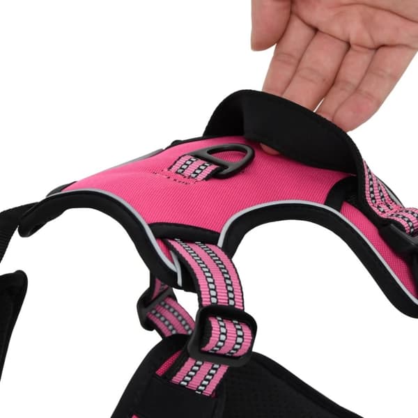 Koiran valjaat heijastavat raidat säädettävä pinkki XL