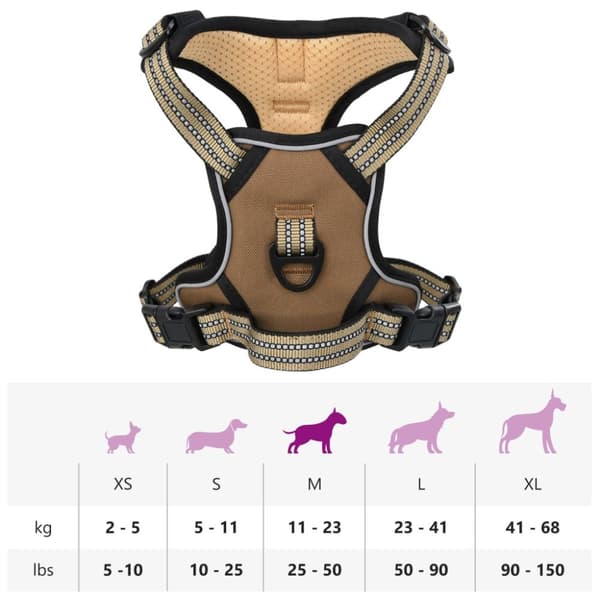 Hundsele med reflekterande ränder Justerbar brun M