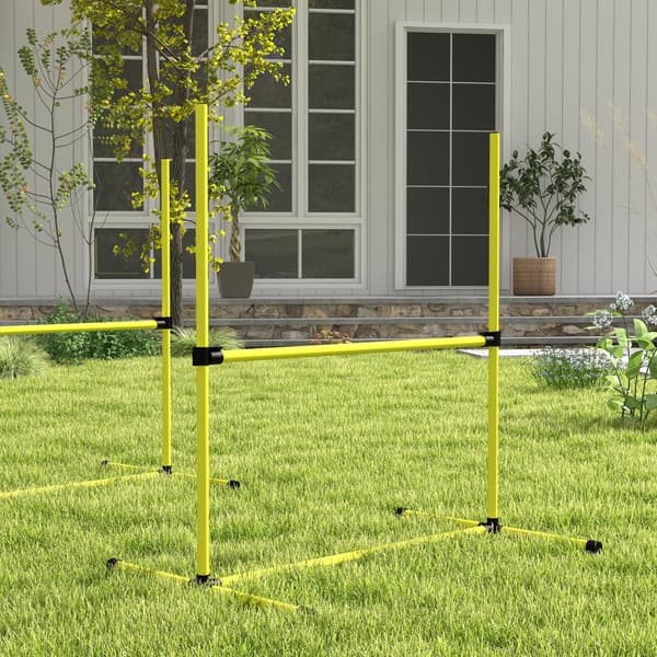 Koirien Agility Set 4 99x65x94cm