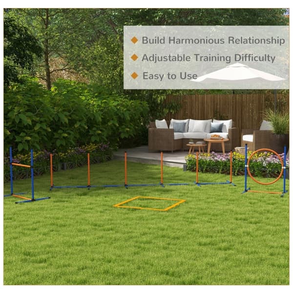 Hund Agility Träning Set 1 Båge 1 Häck 1 Slalomset