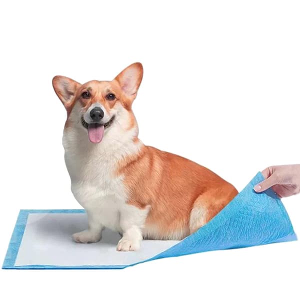 50 st hygienskydd för hundar och katter ABSORBENT MATTOR för att lära sig kissa 60x90