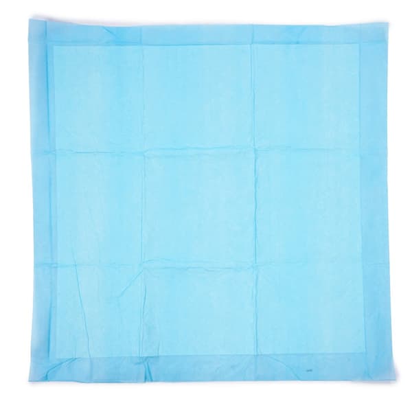 50 st hygienskydd för hundar och katter ABSORBENT MATTOR för att lära sig kissa 60x90