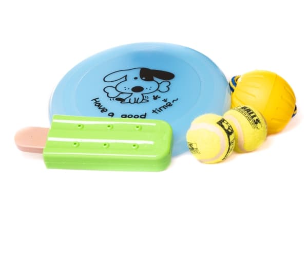 NAGA Koiran lelusekoitus, 4 kpl (frisbee, pallo narussa, tennispallo, jäätelötikku)