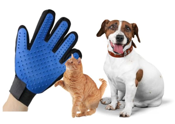 Handske til børstning og pleje af hunde- og kattehår (højre hånd)