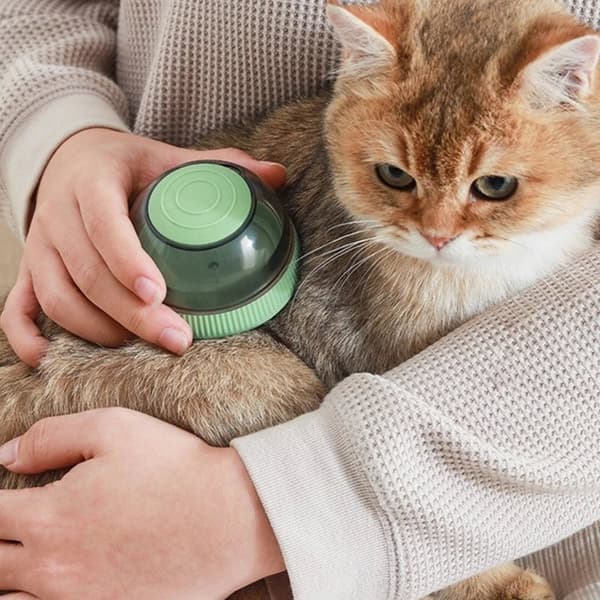 En børstevasker med dispenser til hunde og katte med en tynd og tyk spids