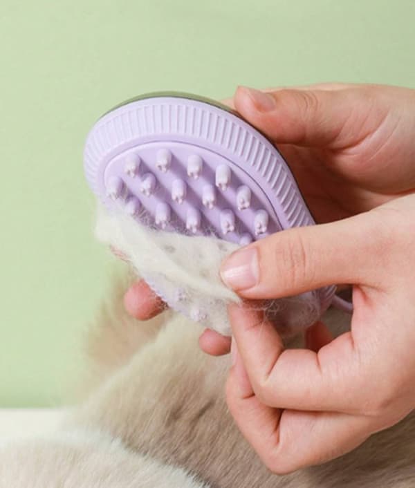 Massageborste för att tvätta hundar och katter