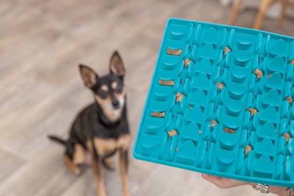 Trixie Lick'n'Snack mat, silicon, 30 cm