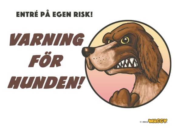 Eldorado Her vogter jeg, Langhåret Hønsehund SV