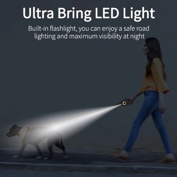 Koiran Talutushihna LED