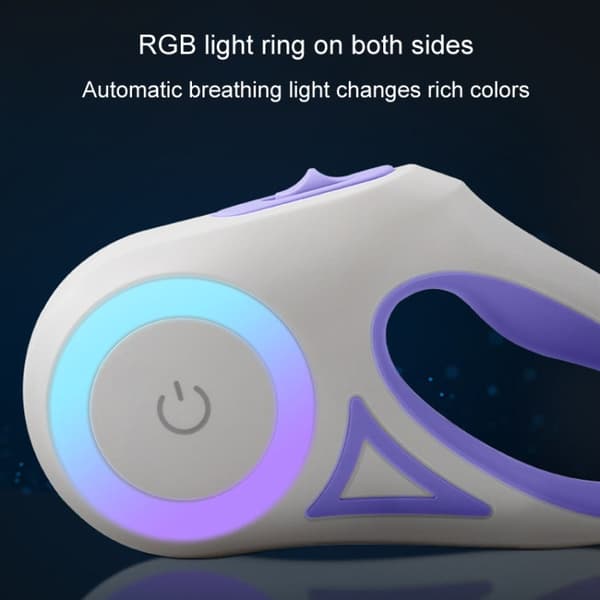 Koiran Talutushihna LED