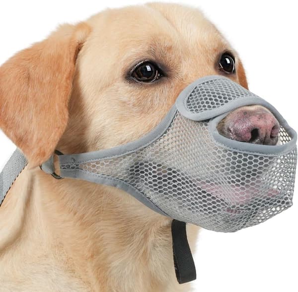 Åndbar hundesnude, justerbar nylon med mesh, sikker og skånsom til små og store hunde