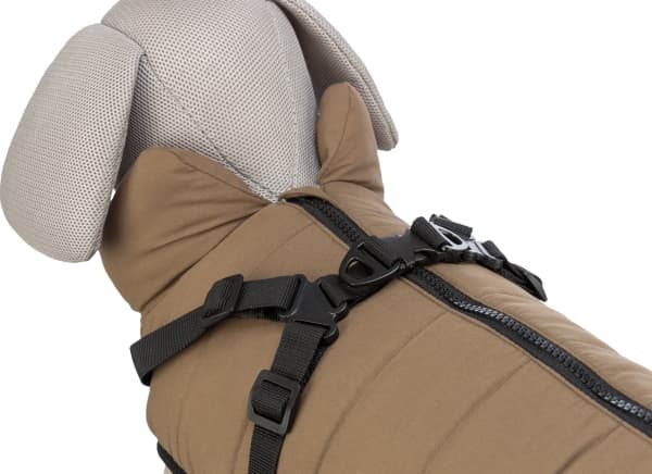 Trixie Pirou winter harness coat, S: 36 cm, sand