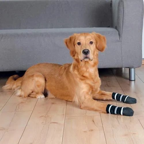 Trixie Hundesokker, non-slip, L–XL, 2 stk., sort