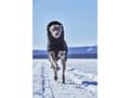 Miniatyrbild 5 av 5: Hurtta Hurtta Extreme Warmer III ECO, korp 65
