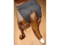 Miniatyrbilde 3 av 3: DOGMAN Termbinder eller justerbar S